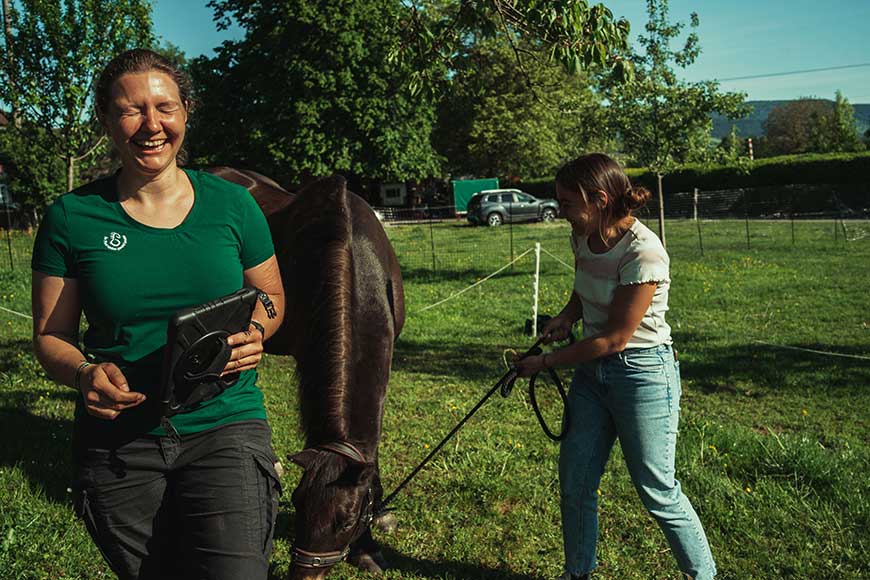 Mobile Pferdewaage Breisgau